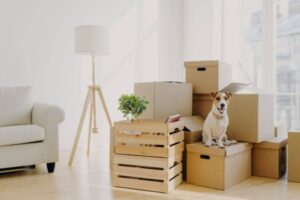 home-moving-service-Singapore